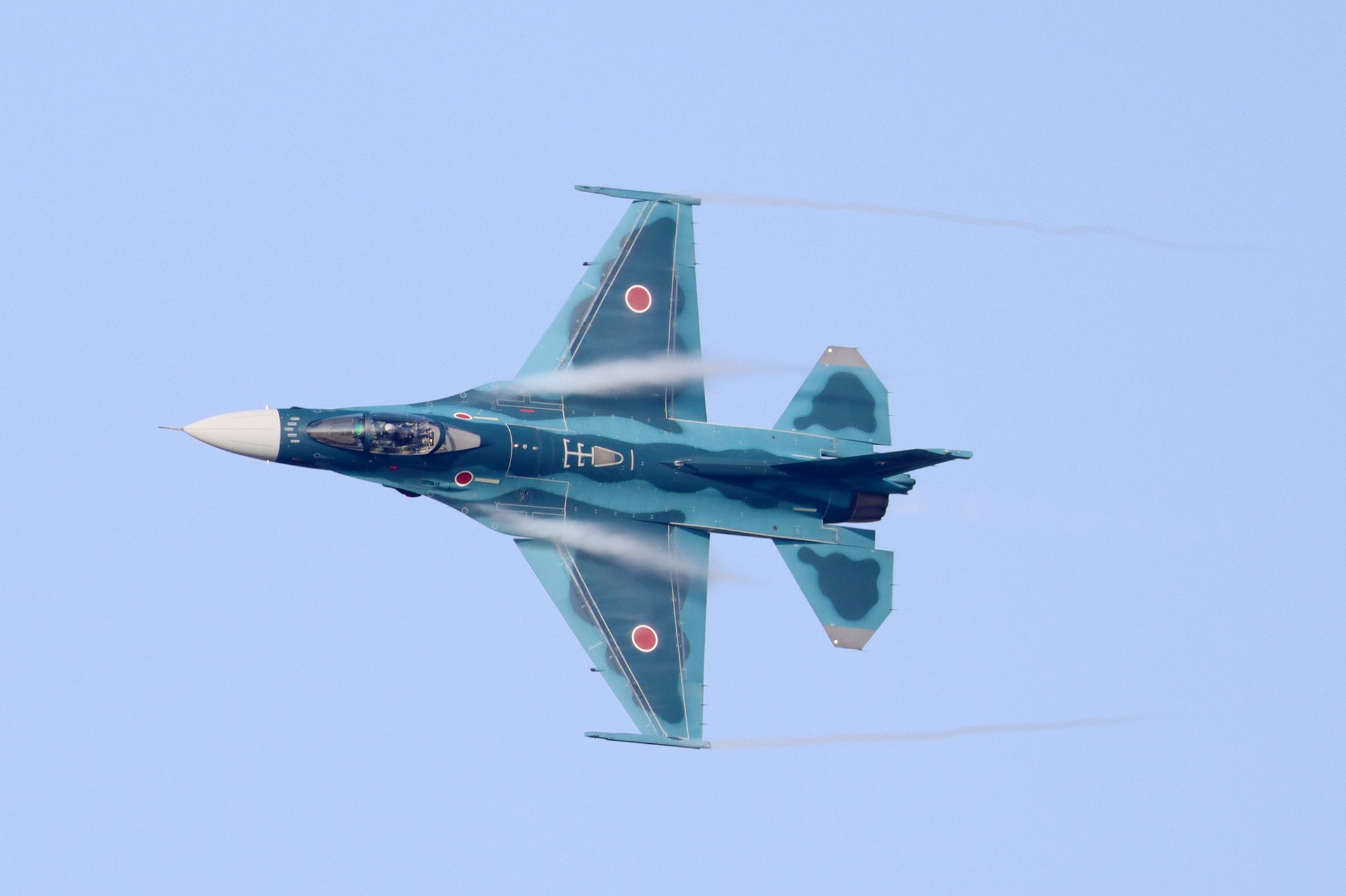 Nyuta Air FES 2019 第301飛行隊 最後の里帰り機動飛行